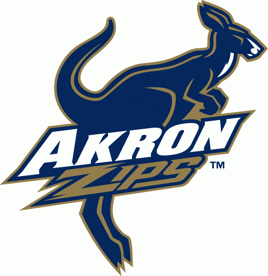 Akron Zips 2002-Pres Alternate Logo v2 diy fabric transfer